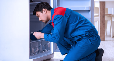 Fridge Repair